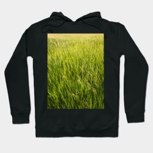 Blooming wild bromus Hoodie